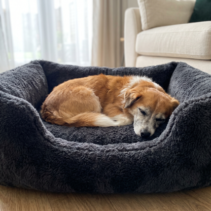 Lounger Dog Bed