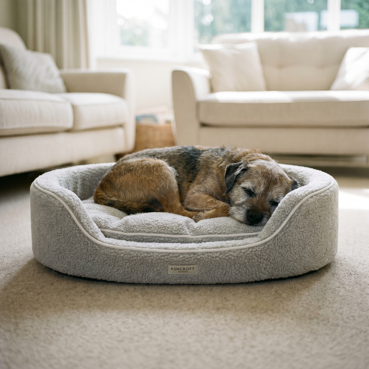 Teddy Dog Bed