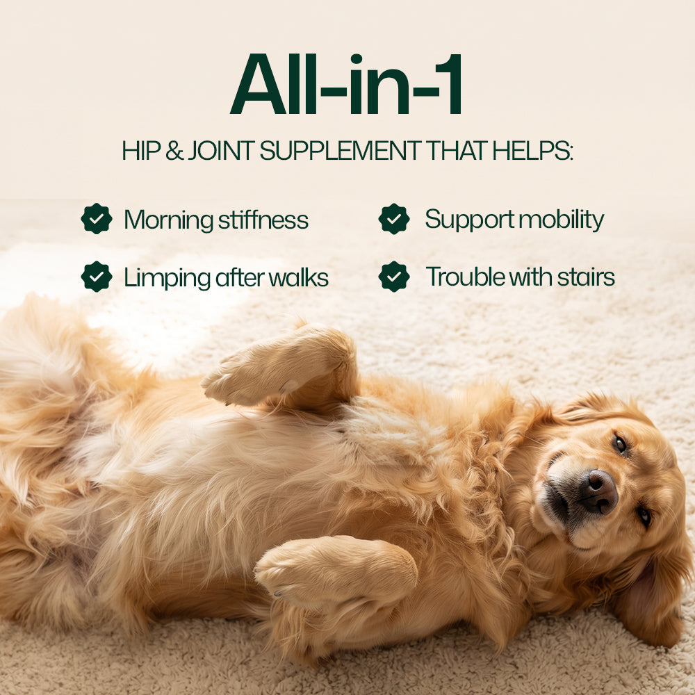 Hip & Joint Chews