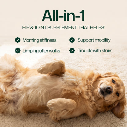 Hip & Joint Chews