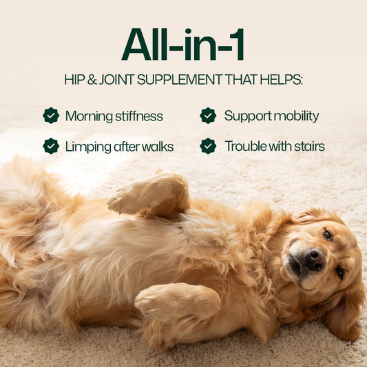 Hip & Joint Chews